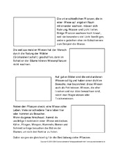 Lebensraum-Wiese-m-Fotos-2.pdf